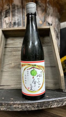 画像2: 2024年度「さぁ、我が家に春よ来い。」 720ml