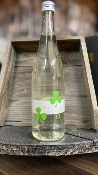画像1: 19 Trifoglio 純米吟醸 瓶火入れ 720ml (1)