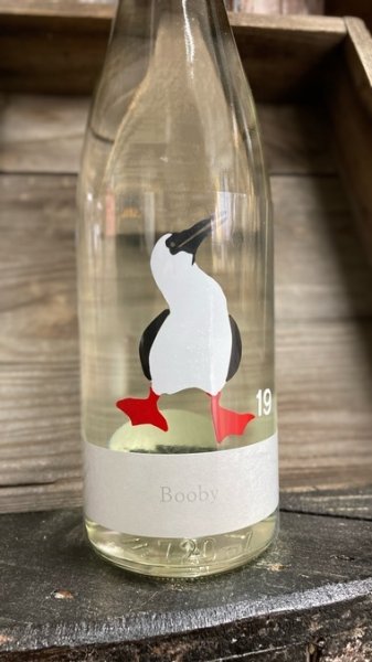 画像1: 19 Booby 瓶燗火入れ（カツオドリ） 1800ml (1)